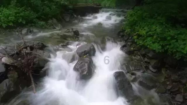 复古车循环赛